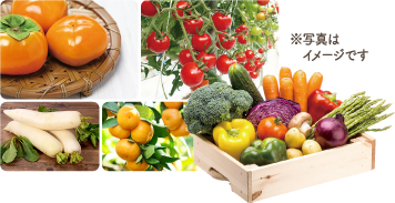 旬の野菜と果物